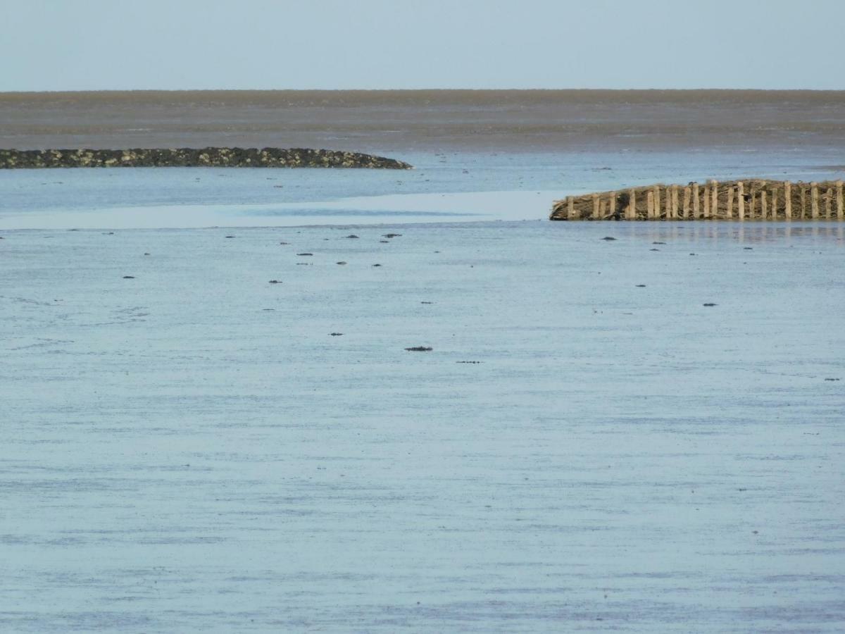 Nordsee Nordstrand Extérieur photo